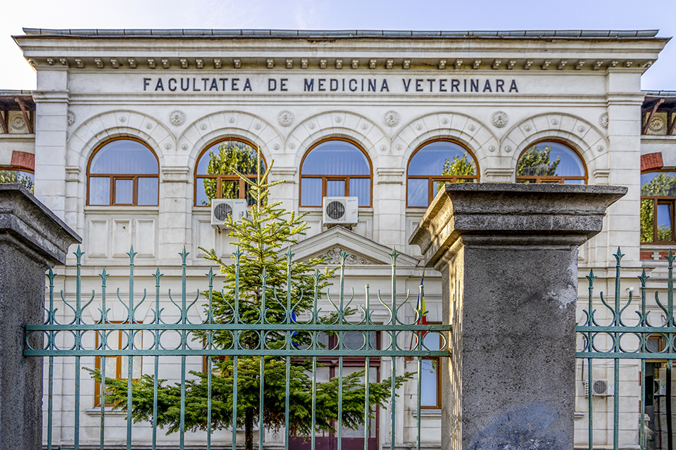 USAMV Bucharest